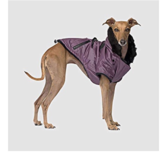 Canada Pooch Urban Wax Parka Jacket - Picture 1 of 8